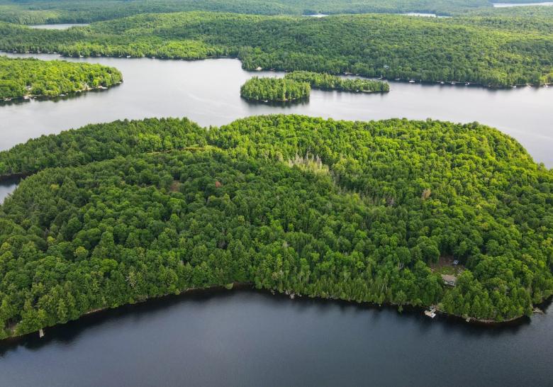 10acre building lot on Blue Heron Trail, Little Redstone Lake listed